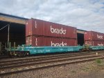 BRAD PRT-065206-7